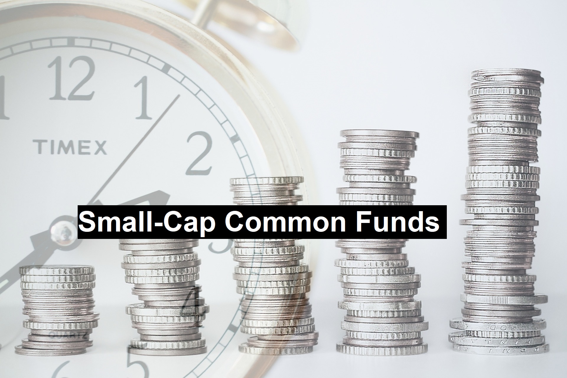 Small-Cap Funds